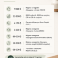 Femme contemplant des graphiques financiers, tenant un carnet de notes sur les investissements.