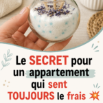 Un intérieur lumineux avec des plantes vertes qui apportent une atmosphère fraîche.