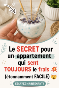 Un intérieur lumineux avec des plantes vertes qui apportent une atmosphère fraîche.