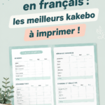 Modèle de kakebo à imprimer pour gérer ses finances personnelles.
