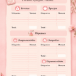 Visuel représentant des créations Tuzymyni et des outils budgétaires