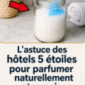 Un intérieur chaleureux avec des diffuseurs d'huiles essentielles et des fleurs naturelles